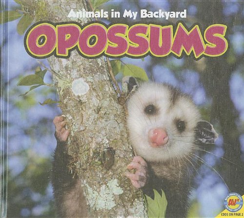 Stock image for Opossums (Animals in My Backyard) for sale by Irish Booksellers