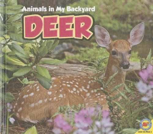 9781616909369: Deer (Animals in My Backyard)