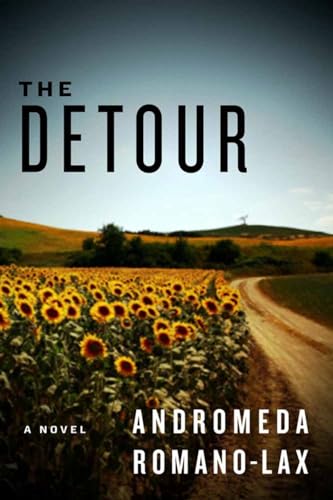 9781616950491: The Detour