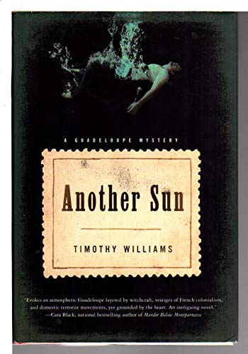 Imagen de archivo de Another Sun a la venta por Better World Books