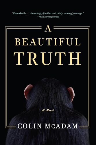 Stock image for A Beautiful Truth for sale by Better World Books