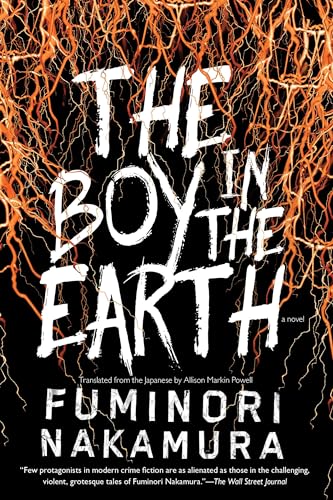 Beispielbild fr The Boy in the Earth zum Verkauf von Better World Books