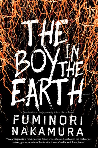 9781616955946: The Boy in the Earth