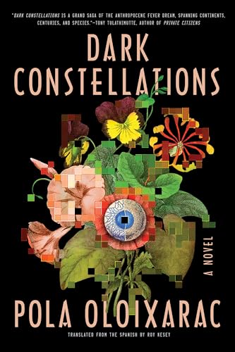 Beispielbild fr Dark Constellations zum Verkauf von Better World Books