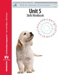 9781617001772: Skills Strand Unit 5 Workbook