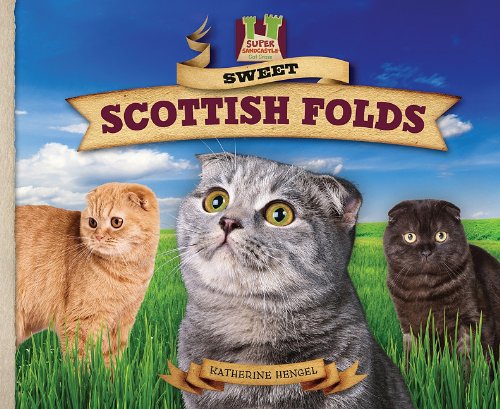 Beispielbild fr Sweet Scottish Folds (Super Sandcastle: Cat Craze) zum Verkauf von medimops