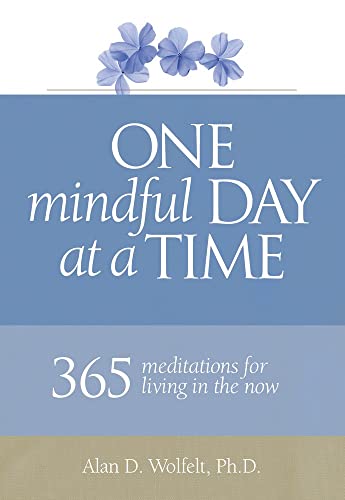 Stock image for One Mindful Day at a Time: 365 meditations on living in the now for sale by Chiron Media