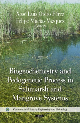 9781617282690: Biogeochemistry and Pedogenetic Process in Saltmarsh and Mangrove Systems (Environmental Science, Engineering and Technology)