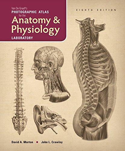 Stock image for Van De Graaff's Photographic Atlas for the Anatomy & Physiology Laboratory, 8e for sale by BooksRun