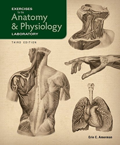 Beispielbild fr Exercises for the Anatomy & Physiology Laboratory, 3e zum Verkauf von HPB-Red