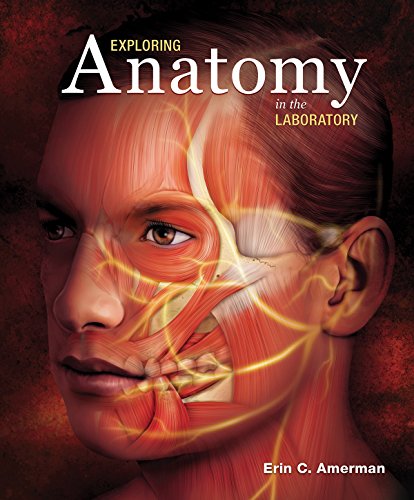 Stock image for Exploring Anatomy in the Laboratory for sale by Byrd Books