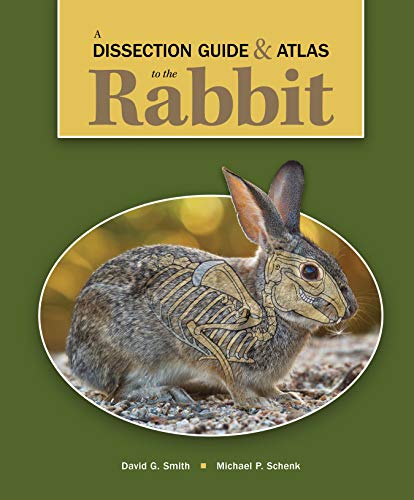 Stock image for A Dissection Guide & Atlas to the Rabbit for sale by SecondSale