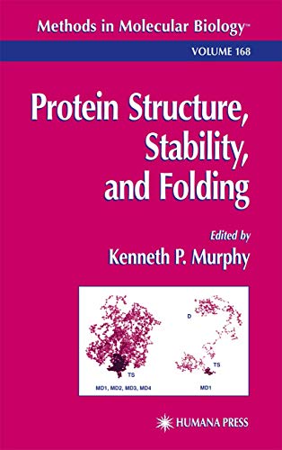 Beispielbild fr Protein Structure, Stability, and Folding (Methods in Molecular Biology, 168) zum Verkauf von Ria Christie Collections