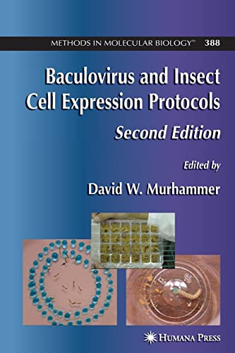 9781617376290: Baculovirus and Insect Cell Expression Protocols: 388 (Methods in Molecular Biology)