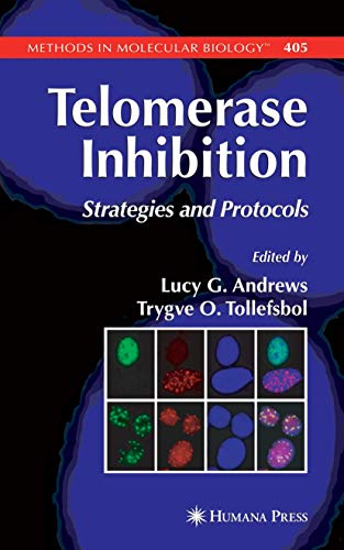 9781617377167: Telomerase Inhibition: Strategies and Protocols: 405