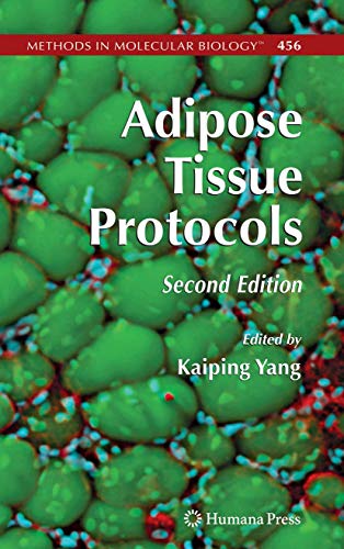 Imagen de archivo de Adipose Tissue Protocols (Methods in Molecular Biology, 456) a la venta por dsmbooks