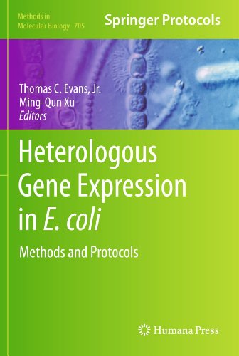 Heterologous Gene Expression in E.coli: Methods and Protocols: Vol 705 - Evans, Thomas C., Jr. (Editor)