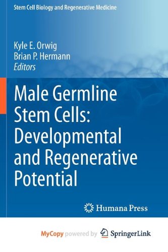 9781617379741: Male Germline Stem Cells: Developmental and Regenerative Potential