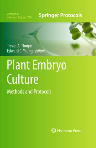 Stock image for Plant Embryo Culture : Methods and Protocols for sale by Ria Christie Collections