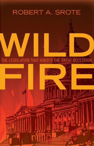 9781617392832: Wildfire: The Legislation That Ignited the Great Recession