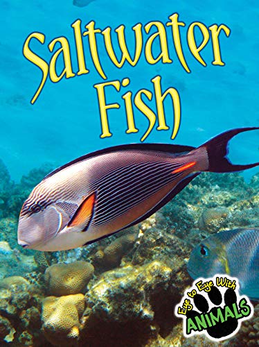 Beispielbild fr Saltwater Fish zum Verkauf von Better World Books