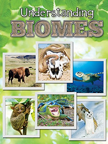 Beispielbild fr Understanding Biomes (Let's Explore Science) zum Verkauf von NEPO UG