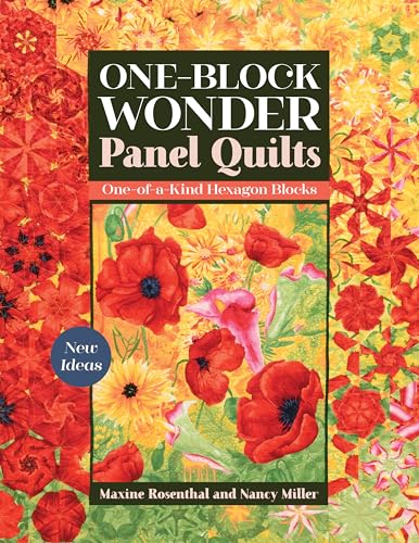 Beispielbild fr One-Block Wonder Panel Quilts: New ideas; one-of-a-kind hexagon blocks zum Verkauf von AwesomeBooks