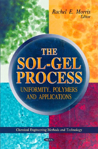 9781617613210: Sol-Gel Process: Uniformity, Polymers & Applications (Chemical Engineering Methods and Technology: Materials Science and Technologies)