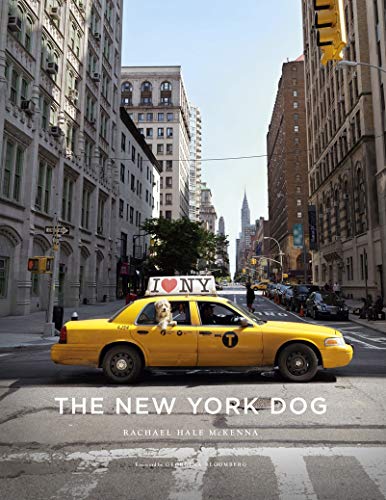 Beispielbild fr The New York Dog zum Verkauf von New Legacy Books