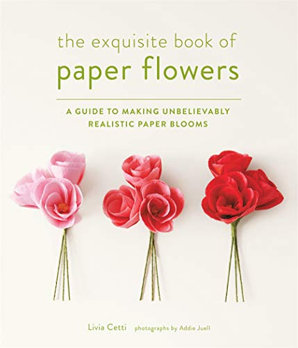 Stock image for The Exquisite Book of Paper Flowers: A Guide to Making Unbelievably Realistic Paper Blooms for sale by Goodwill of Colorado