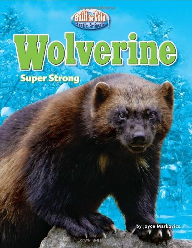 Imagen de archivo de Wolverine: Super Strong (Built for Cold: Arctic Animals) a la venta por Your Online Bookstore