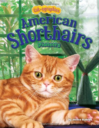 9781617721434: American Shorthairs: Pioneers (Cat-ographies)