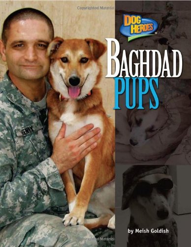 Baghdad Pups (Dog Heroes) - Goldish, Meish