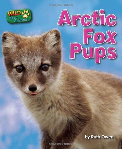 Arctic Fox Pups - Owen, Ruth