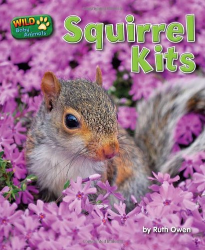 9781617721601: Squirrel Kits (Wild Baby Animals)