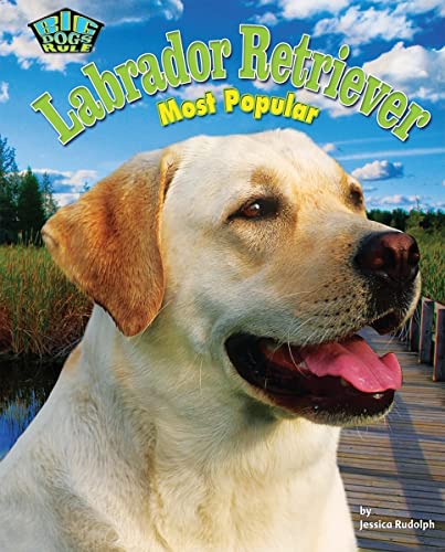 9781617723001: Labrador Retriever: Most Popular (Big Dogs Rule!)
