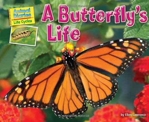 Beispielbild fr A Butterfly's Life zum Verkauf von Better World Books