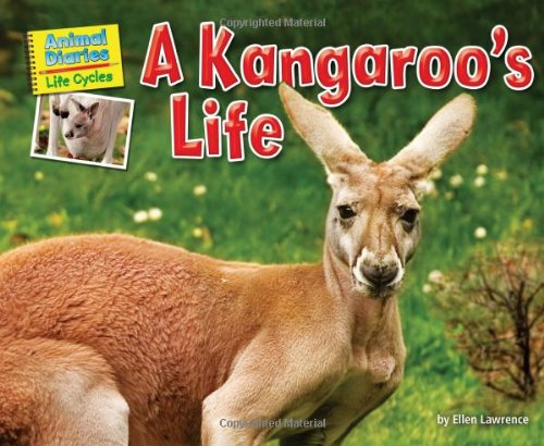 Imagen de archivo de A Kangaroo's Life a la venta por Better World Books