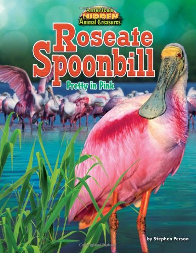 Stock image for Roseate Spoonbill : Pretty in Pink for sale by Better World Books