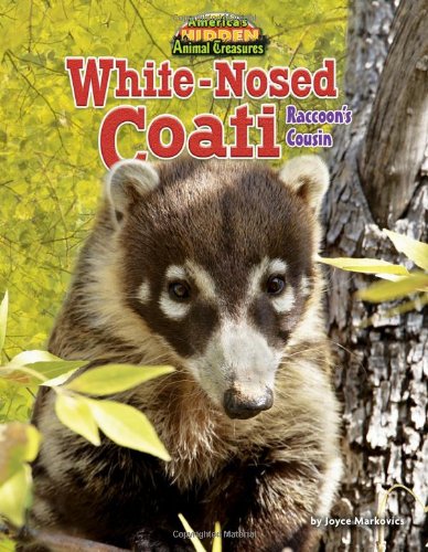 Stock image for White-Nosed Coati: Raccoon's Cousin (America's Hidden Animal Treasures) for sale by More Than Words