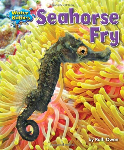 Beispielbild fr Seahorse Fry zum Verkauf von Better World Books