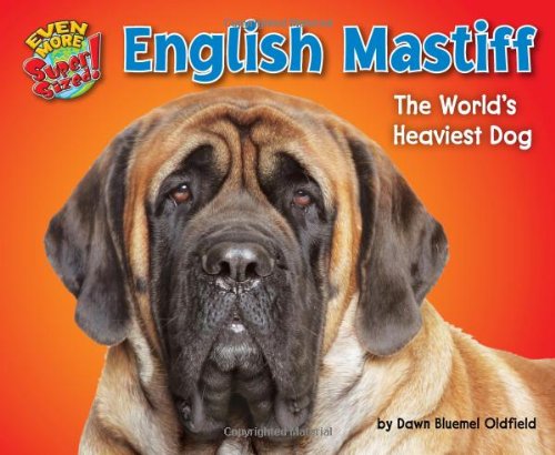 Imagen de archivo de English Mastiff : The World's Heaviest Dog a la venta por Better World Books