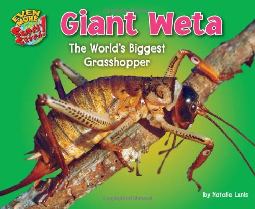 Stock image for Giant Weta : The World's Biggest Grasshopper for sale by Better World Books
