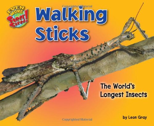 Beispielbild fr Walking Sticks : The World's Longest Insects zum Verkauf von Better World Books