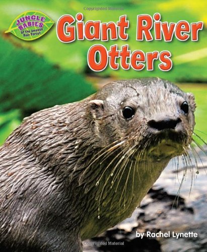 Giant River Otters (Jungle Babies of the Amazon Rain Forest) (9781617727542) by Lynette, Rachel