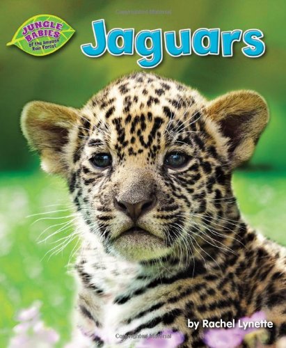 Jaguars (Jungle Babies of the Amazon Rain Forest) (9781617727559) by Lynette, Rachel