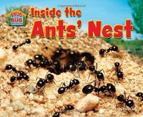 9781617729027: Inside the Ants' Nest (Snug as a Bug: Where Bugs Live)