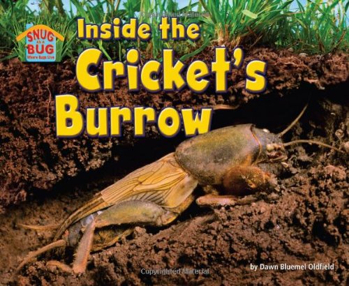 Beispielbild fr Inside the Cricket's Burrow zum Verkauf von Better World Books
