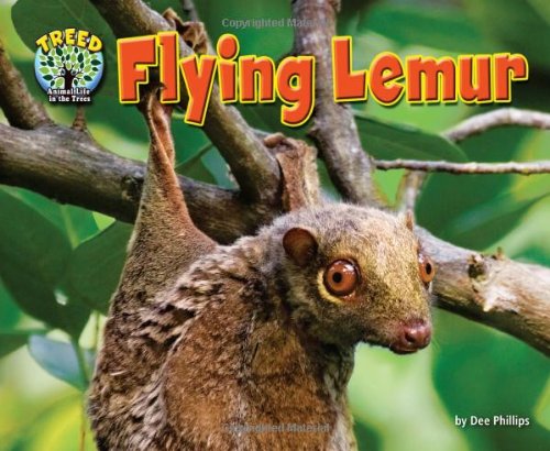 Beispielbild fr Flying Lemur zum Verkauf von Better World Books