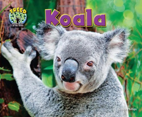 Beispielbild fr Koala (Treed: Animal Life in the Trees) zum Verkauf von SecondSale